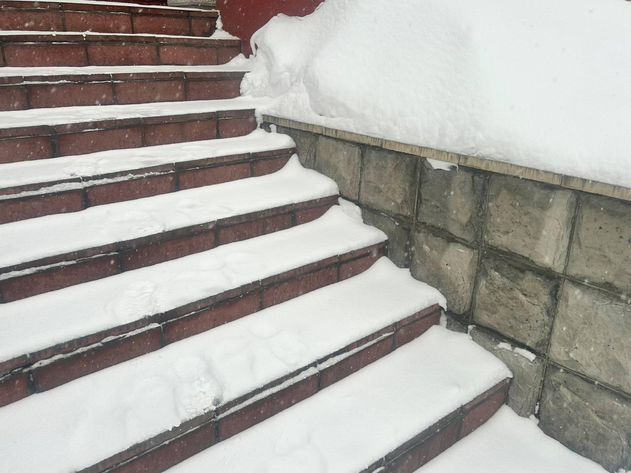 Фото Новосибирск засыпало снегом накануне 40-градусных морозов: 10 кадров аномальной погоды 5